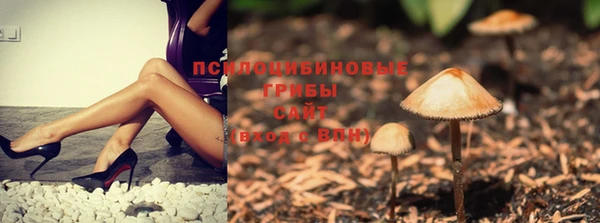 дурь Баксан